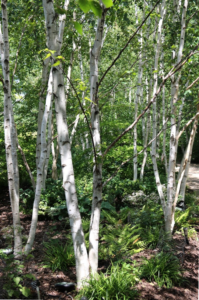 沈阳通海盛达商贸 专业 中文在线字幕免费高清电视剧日剧MV 工厂实拍 高效节能电机系列产品 2